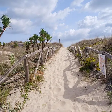 Rita A 200m Dal Mare Ferienhaus I Bacini