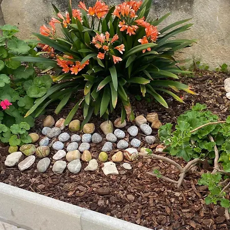 Rita A 200m Dal Mare * I Bacini