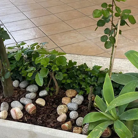 Rita A 200m Dal Mare 度假居 I Bacini