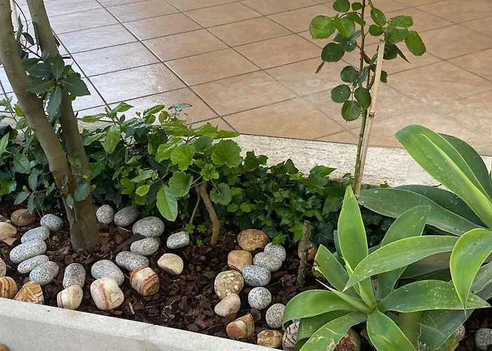 Rita A 200m Dal Mare Casa vacanze I Bacini